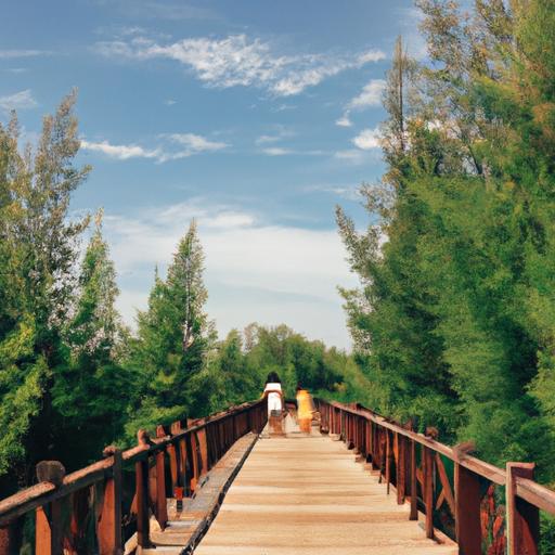 Đôi tình nhân đi dạo trên cây cầu gỗ giữa khung cảnh xanh tươi ở Hồ Cốc